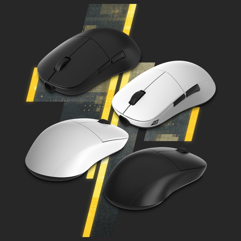 XM2w Wireless Gaming Mouse
